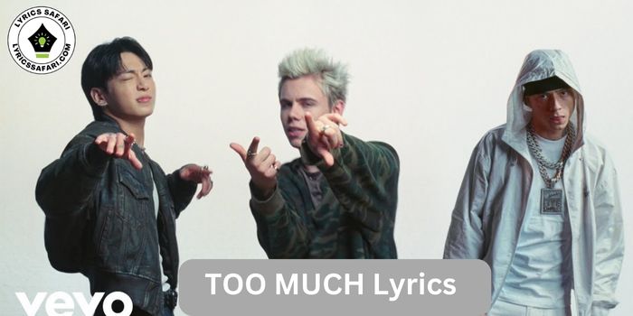 TOO MUCH Lyrics