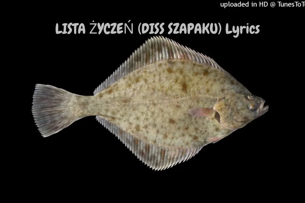 LISTA ŻYCZEŃ (DISS SZAPAKU) Lyrics